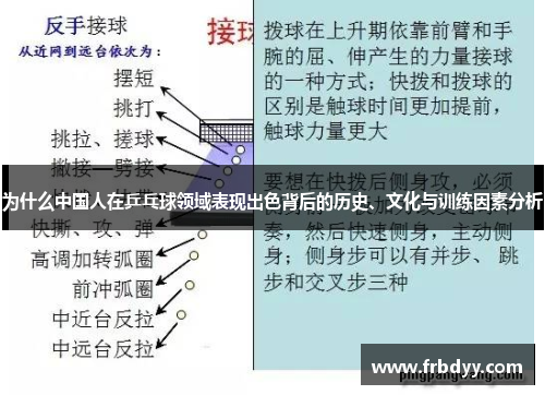 为什么中国人在乒乓球领域表现出色背后的历史、文化与训练因素分析